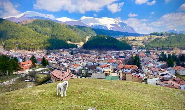 Dal 1° Luglio arriva il servizio bus TUA che collega Roma con i Parchi d'Abruzzo