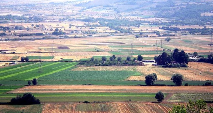 Non solo Fucino: le forti piogge e gli allagamenti hanno danneggiato anche gli agricoltori e gli allevatori dei Piani Palentini