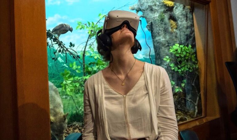 Realtà Virtuale Immersiva ambientata all’interno delle faggete vetuste presso il Centro Natura di Pescasseroli