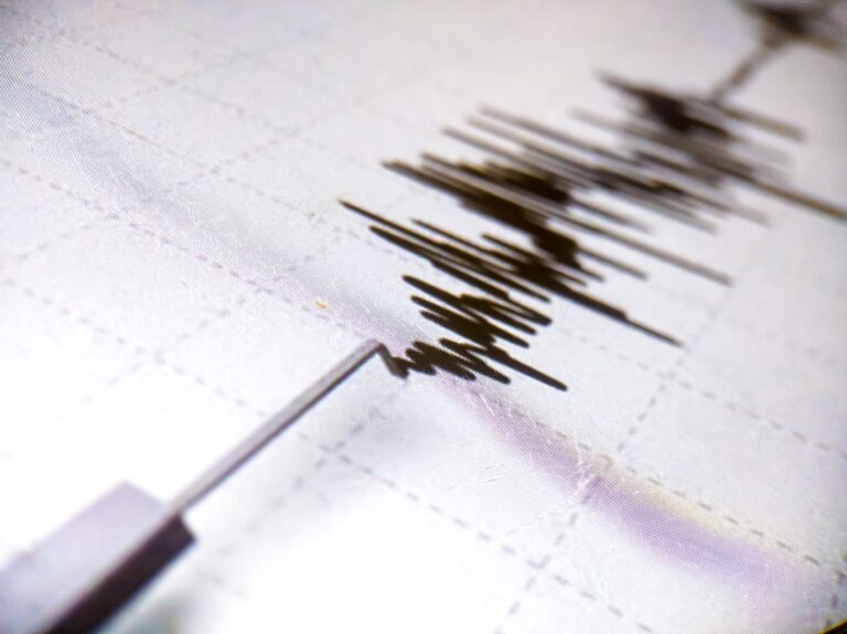 Terremoto_Sismografo