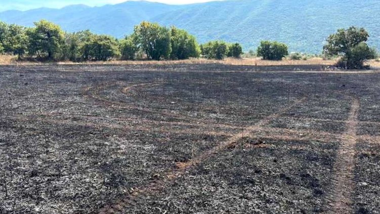Domato un incendio a Villavallelonga: "I cittadini hanno dimostrato prontezza e coraggio tagliando la strada al fuoco"