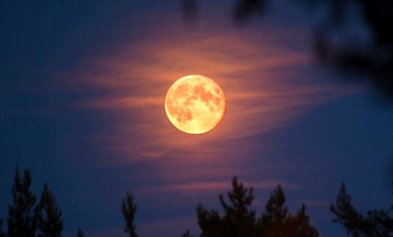 Superluna dello Storione, stasera la Luna dà spettacolo: sarà più grande e luminosa del solito