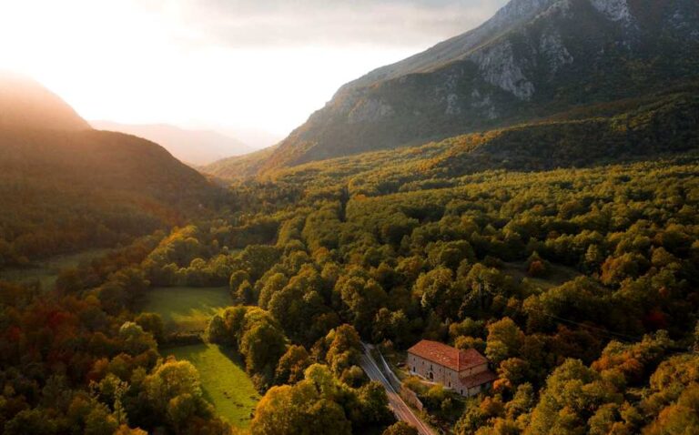 Oggi, 9 settembre 2023, il Parco Nazionale d'Abruzzo, Lazio e Molise compie 101 anni di vita