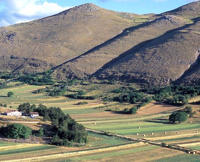 Mantenimento attività agricola e/o zootecnica in zona montana: bando della Regione Abruzzo