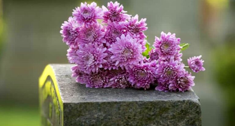 Rubati fiori freschi dalle tombe del cimitero: "Nessun rispetto per i defunti"