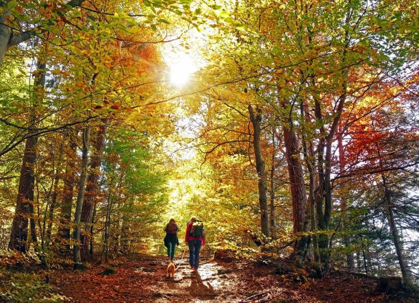 Nei boschi in autunno in sicurezza: i consigli del Soccorso Alpino e Speleologico agli escursionisti