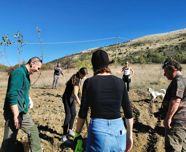 Convivere con gli orsi: messi a dimora 100 alberi nei frutteti diffusi di Bisegna, San Sebastiano dei Marsi e Ortona dei Marsi