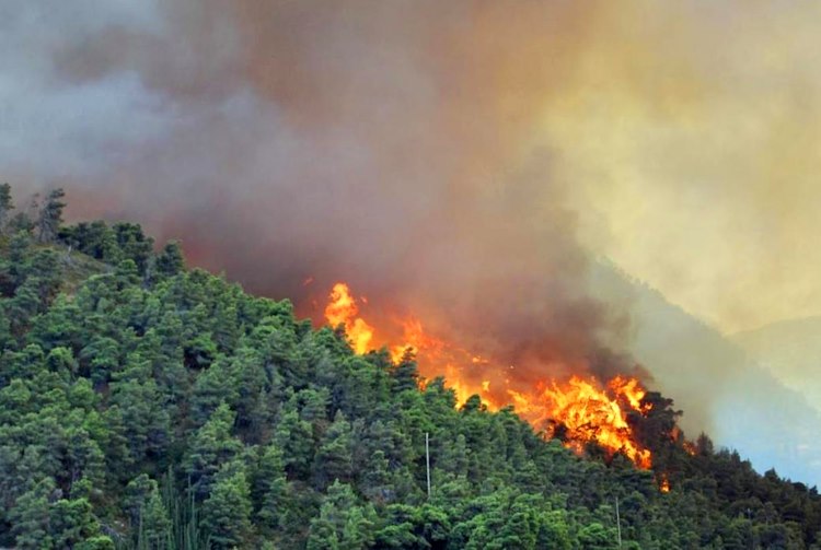 Incendi boschivi, prorogato fino al 15 Ottobre il periodo per il rischio di grave pericolosità: prescrizioni e divieti come in estate