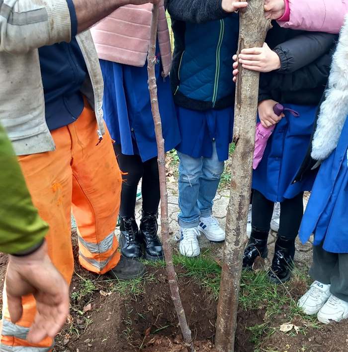I bambini di Pescasseroli piantano nuovi alberi, gli amministratori: "Un patto fra generazioni per la conservazione del pianeta"