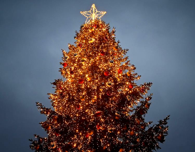 8 Dicembre 2023: San Benedetto dei Marsi accende un albero di... cultura