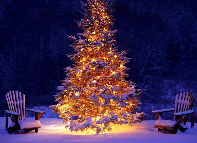 Natale 2023 a Collarmele: la Pro Loco prepara la "gara" per premiare l'albero e il presepe più belli