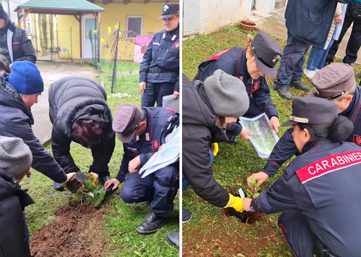 Festa dell'albero a Carsoli: i Carabinieri Forestali di Pereto mettono a dimora piante insieme ai disabili del Centro diurno