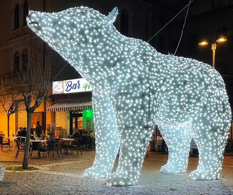 In Abruzzo anche il Natale diventa un'occasione per omaggiare l'orso bruno marsicano