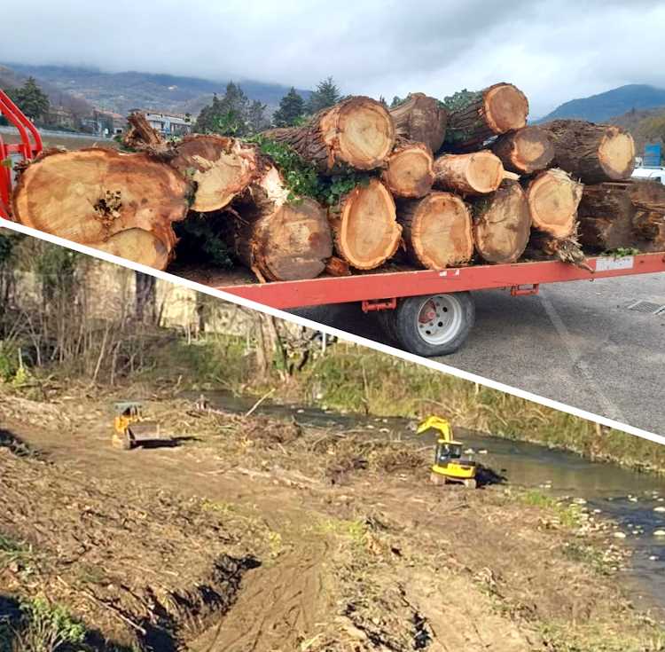 Taglio indiscriminato di alberi nel Sito di Interesse Comunitario del fiume Vomano: SOA presenta esposto e scrive al Ministero