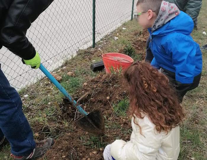 "Un albero per il futuro": i bambini della scuola primaria "Collodi-Marini" di via Pertini hanno piantato nuovi alberi