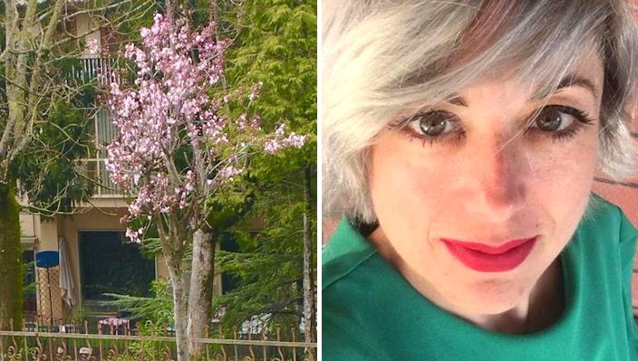 È appena fiorito l'albero piantato a Civitella Roveto in ricordo di Grazia Sabatini, scomparsa a soli 44 anni