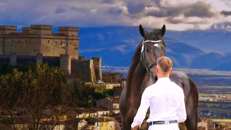 Il cavallo maremmano M.Melampo, del celanese Mattia Russo, supera i test e diventa stallone di fascia A: "Orgoglio d'Abruzzo"
