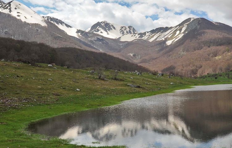 Cambiamenti climatici, la rete di monitoraggio del Parco Nazionale d'Abruzzo sulla vegetazione altomontana delle Mainarde