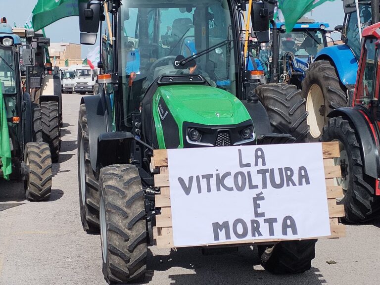1708136165-1-le-proteste-degli-agricoltori-con-il-raduno-dei-trattori-a-marsala-oggi-la-sfilata-nbsp