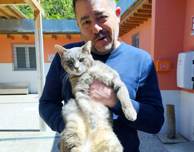 Dopo un investimento, pallini di piombo in corpo e un'operazione, il gatto marsicano Dante ha finalmente trovato famiglia