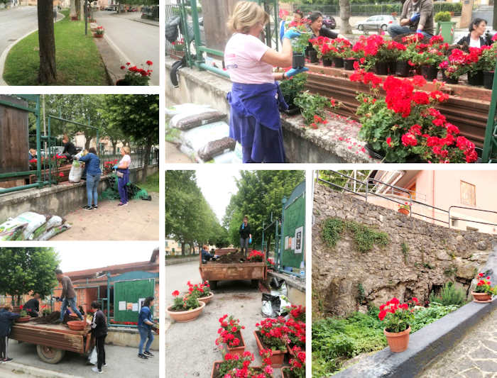 300 piante di gerani hanno abbellito Villa San Sebastiano grazie all'iniziativa dell'associazione Gli Amici