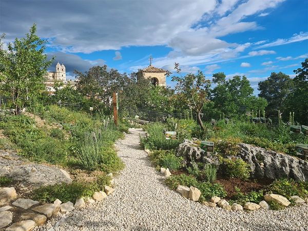Inaugurato nuovo Giardino diffuso nel Parco nazionale della Maiella che ospita più di 130 entità botaniche