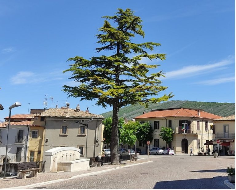 Collelongo|