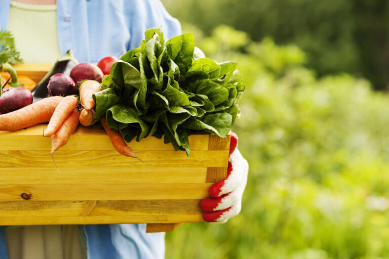 Forte cedimento dell’export abruzzese