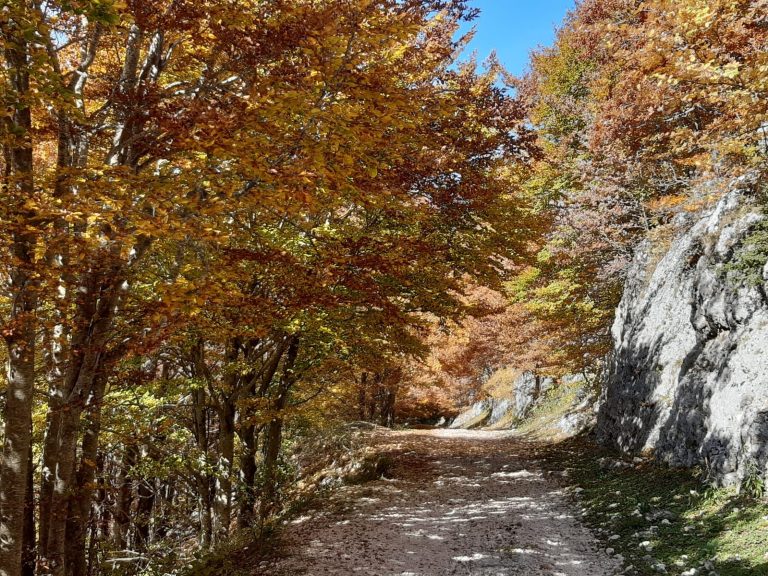 PASSEGGIATA ECO ROSCETTA