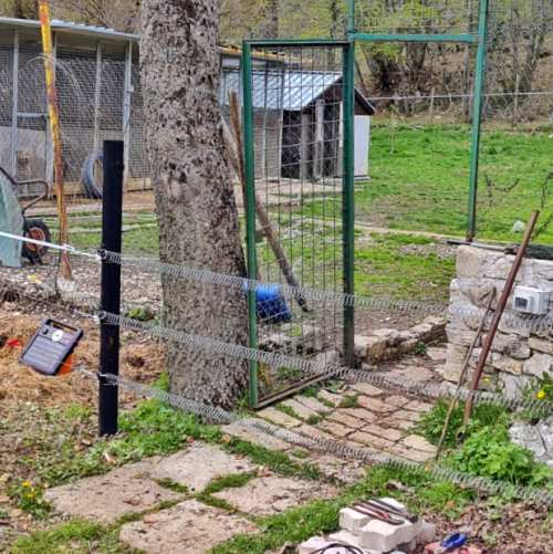 Convivere con l'orso bruno marsicano: nuovi recinti elettrificati a tutela di pollai