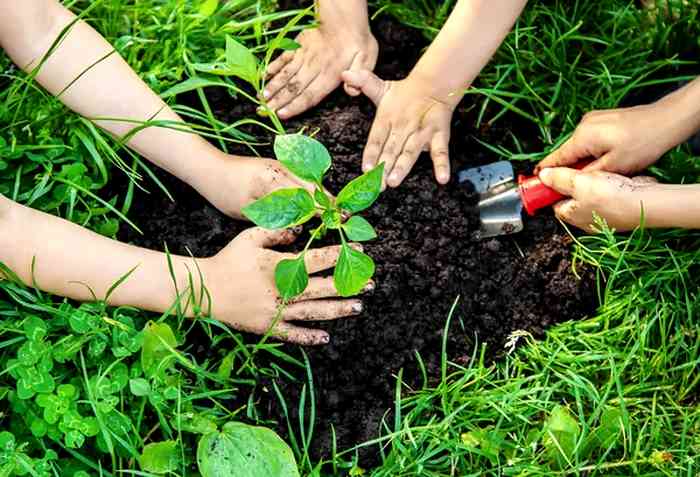 Giornata nazionale della gentilezza ai nuovi nati: Cerchio dona un albero per ogni bambino venuto al mondo|