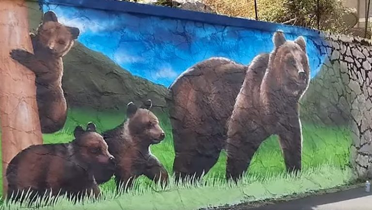 Amarena e i suoi cuccioli protagonisti di un nuovo murale che sarà inaugurato oggi