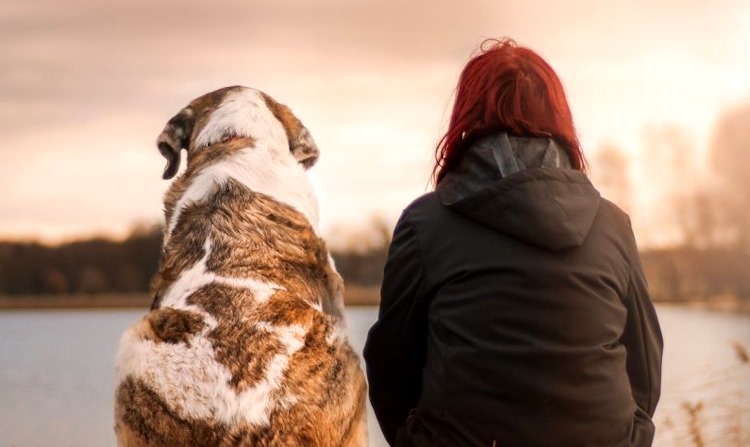 Approvata legge su sepoltura animali d'affezione insieme ai propri cari. D'Incecco (Lega): "Legge di buon senso e a costo zero"