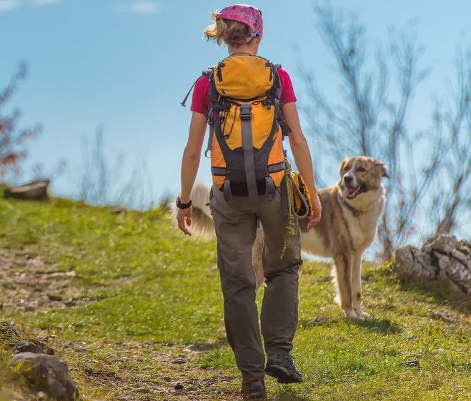 Pericolosità dei cani "mal gestiti" per la fauna