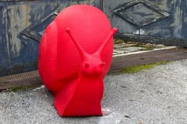 Rubata una chiocciola rossa