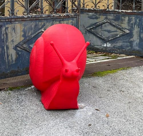 Rubata una chiocciola rossa