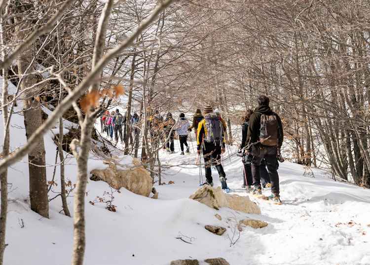 Le Ciaspolate Poetiche nel Parco Nazionale d'Abruzzo Lazio e Molise sabato 24 e domenica 25 febbraio 2024 a Pescasseroli e Lecce nei Marsi|||