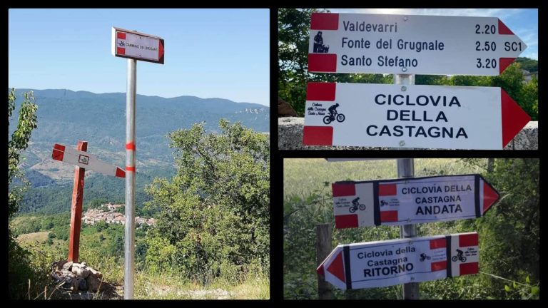Servizio civile