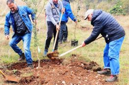 "Una foresta per Amarena" va avanti