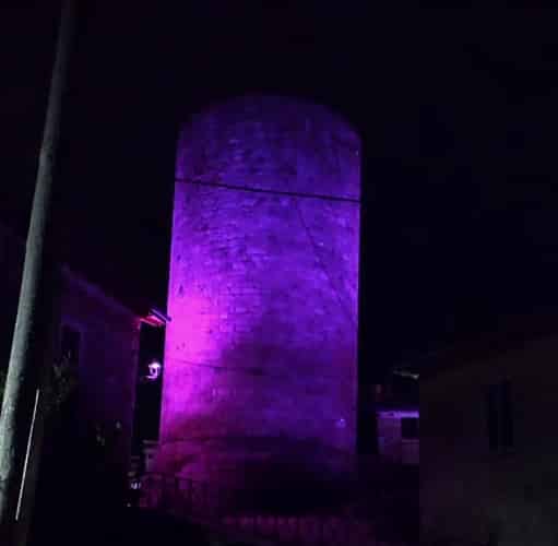 Giornata Internazionale dell'Epilessia