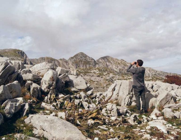 Sono 16 i posti disponibili per il Servizio Civile Universale nel Parco Nazionale d'Abruzzo