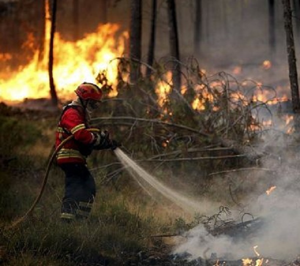 incendio boschi wwf