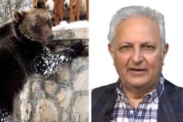 "La vita di un orso vale più di 100 like sul tuo profilo"