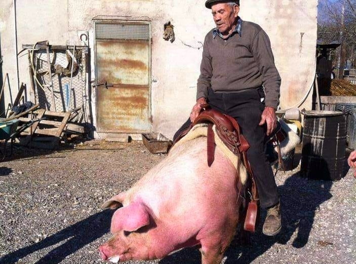 Luigi Contestabile