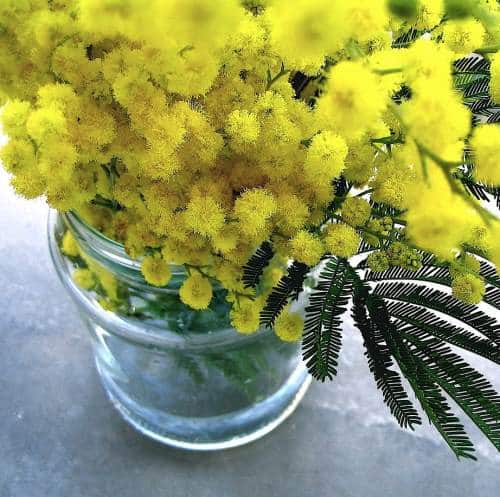 Festa della donna: il Comune di Luco dei Marsi dona piccoli bouquet alle diciottenni e alle ultranovantenni del paese