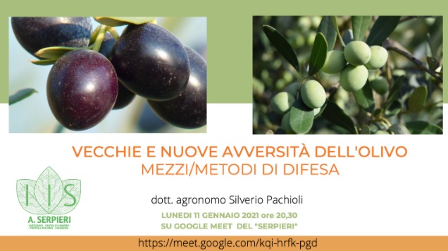 Videoconferenza dell'Istituto Agrario A. Serpieri di Avezzano sul tema: "Vecchie e nuove avversità dell'olivo