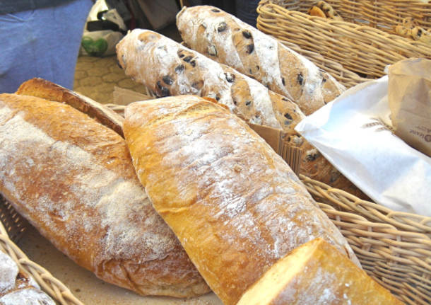 Bollette salate