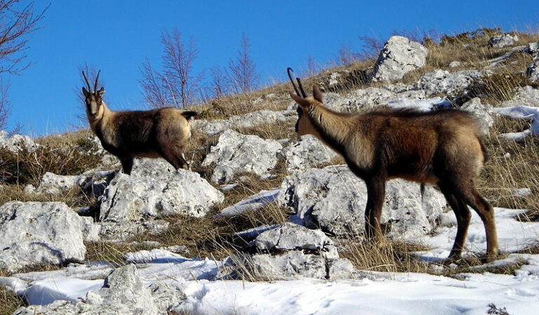 Gruppo Pd su Parco Sirente-Velino: "il centrodestra che voleva puntare sul patrimonio ambientale ne è il primo carnefice"