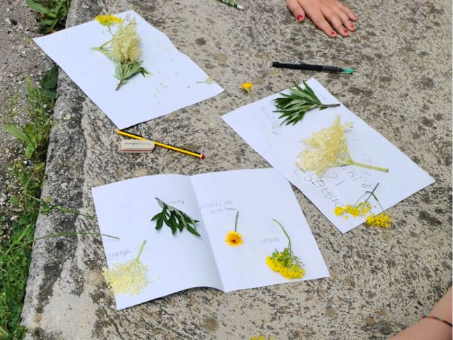 Inaugurazione del percorso botanico sensoriale presso la Pineta di Avezzano|