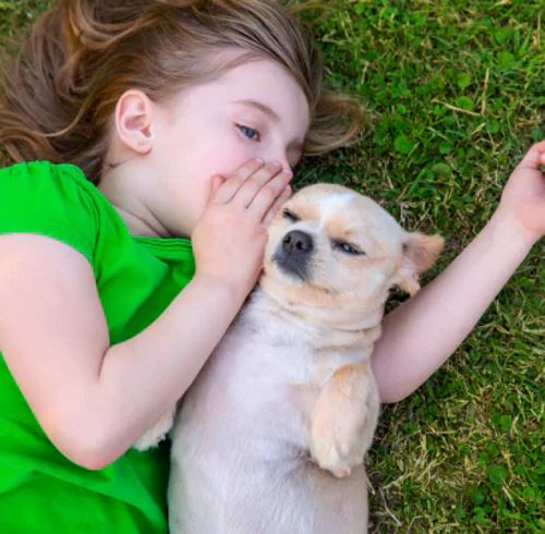 Pet&Love
